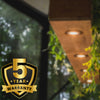 Paul Russells 6W LED Non Fire Rated Tiltable Downlight, Warm/Cool/Day White 3 Adjustable CCT, IP44, Bezel White5