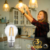 LED Dimmable Filament GLS 12W (100w), ES/E27, 1521 Lumens, Warm White(2700K), 240V5