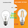 LED Filament GLS 4.5W=40W Warm White 2700K Edison Screw Cap Bulbs4