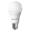 LED GLS 13W=100W Day Light ES E27 Edison Screw Bulbs1