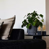 LED Dimmable Filament Spiral T45, 4W=25w ES/E27 AM Extra Warm White 1800K Decorative Bulbs1