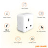 Smart Wireless Socket Plug works with Amazon Alexa/Google/Siri paul russells App Runs on 2. 4GHz WiFi Router/Bluetooth Remote Control, No Hub Required, Timer Switch, Home Devices3